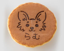 大切なペットを